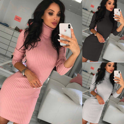 Ladies' knit dress with high collar and fine ribbed structure Lune London