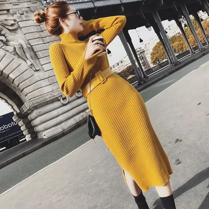 Robe tricotée pour femmes avec col montant et coupe ajustée Chic & Stil