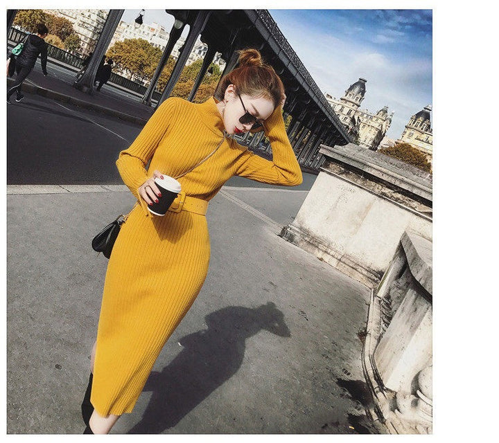Robe tricotée pour femmes avec col montant et coupe ajustée Chic & Stil
