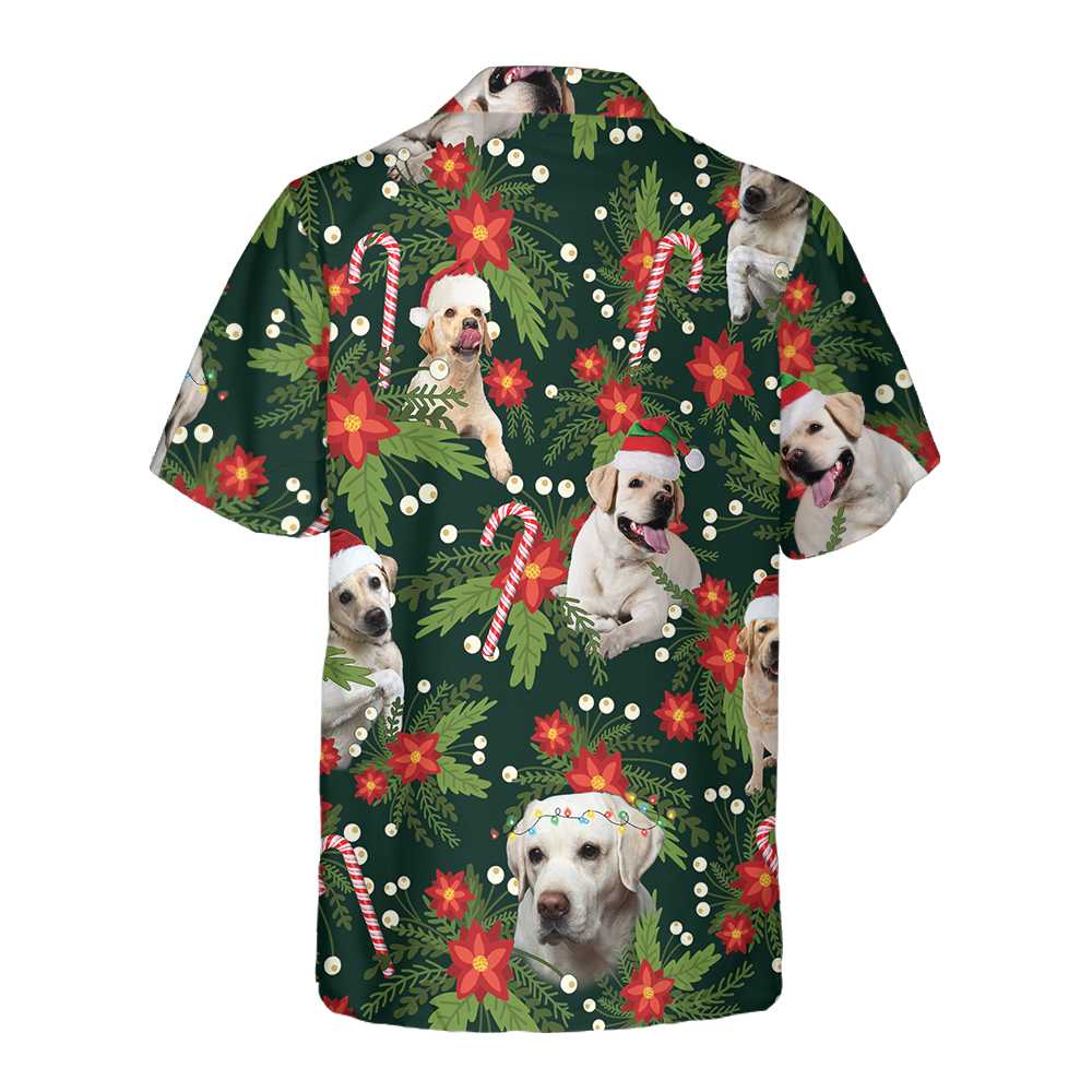 Lune London | Christmas Labrador-Retriever Sweatshirt with Christmas Star, fun Labrador T-shirt for men and women
