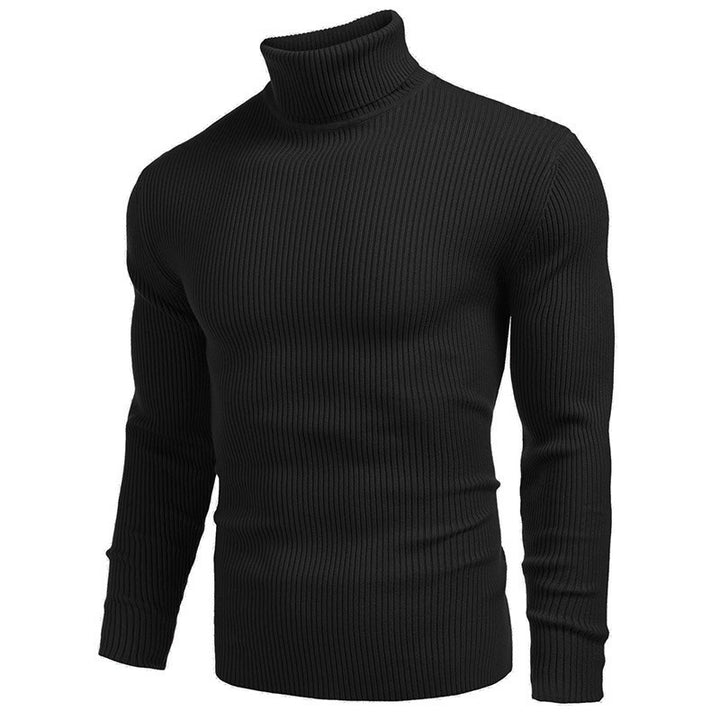 Elegant ribbed turtleneck sweater for men Lune London