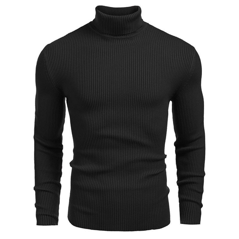 Elegant ribbed turtleneck sweater for men Lune London