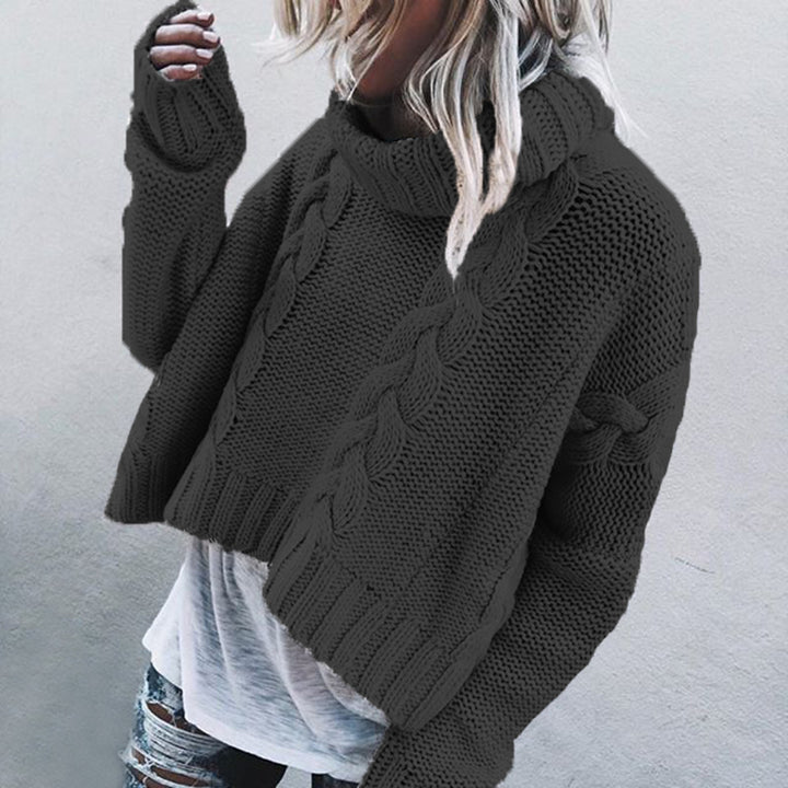 Chunky knit sweater for women with a high collar and strategically placed relief patterns.