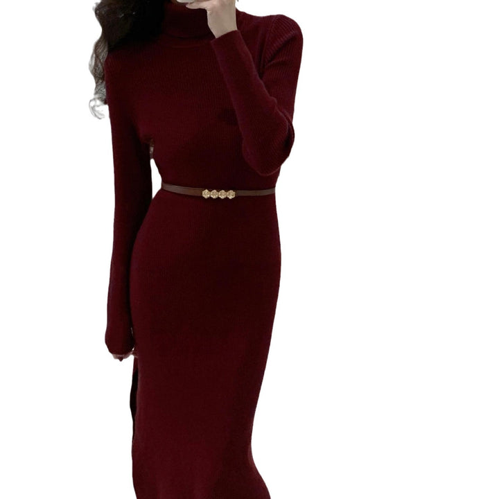 Robe tricotée élégante pour femmes avec col haut et fente latérale Chic & Stil
