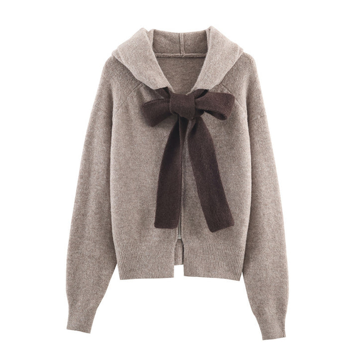 Pull tricoté stylé pour femmes avec capuche et cordon décoratif Chic & Stil