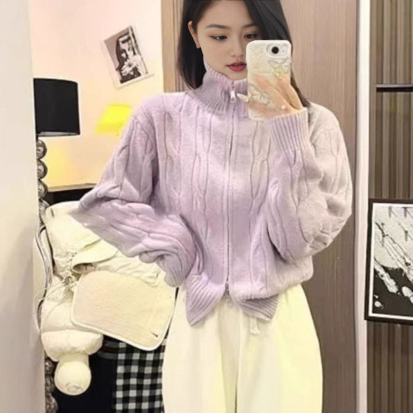 Pull en tricot chunky à col haut Chic & Stil pour femmes