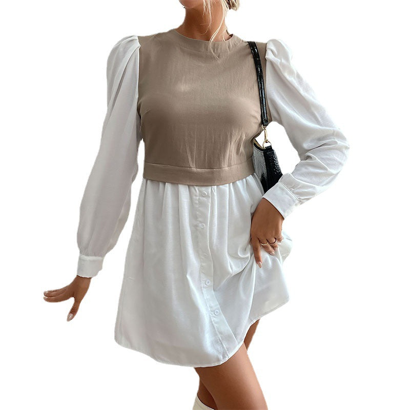 Chic and stylish shaded dress for women