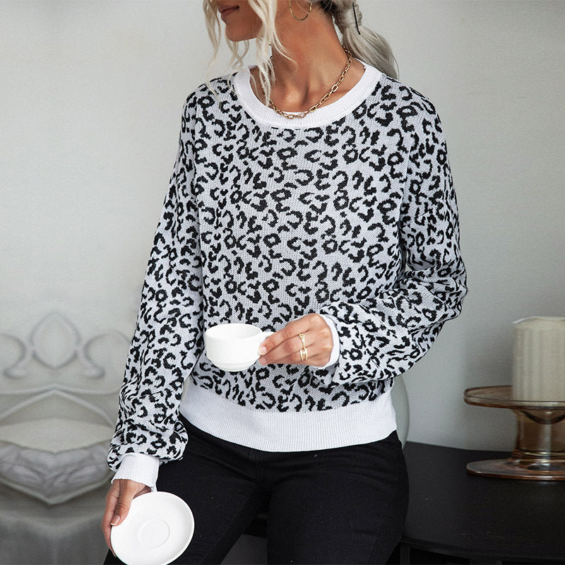 Trendy knit sweater for women with a casual leopard pattern and a round neck Lune London