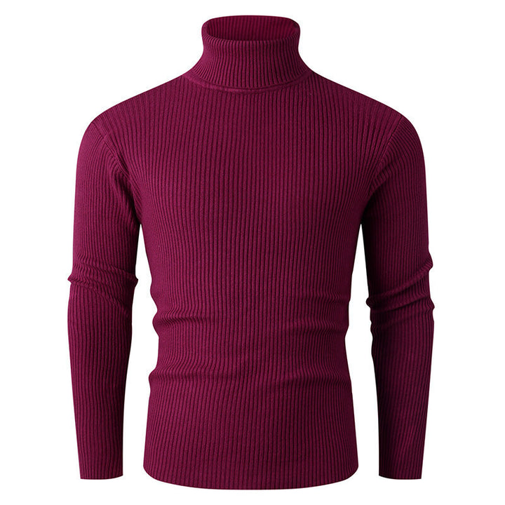 Elegant turtleneck sweater for men in structured knitted material Lune London
