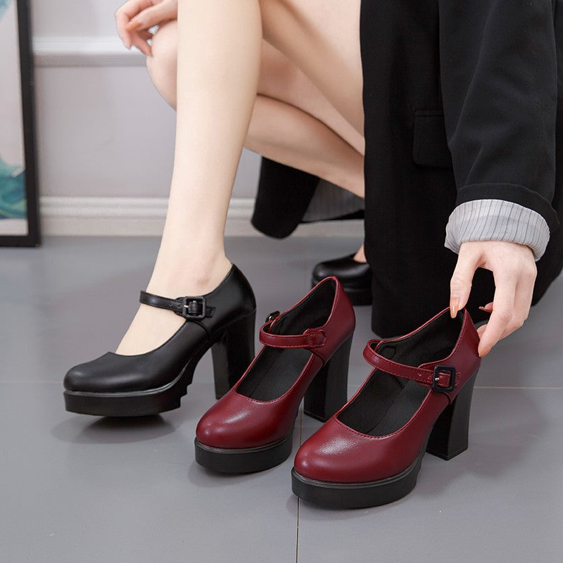 Women's Elegant Mary Jane Pumps with Decorative Strap and Comfortable Block Heel Lune London