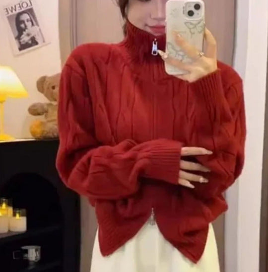 Pull en tricot chunky à col haut Chic & Stil pour femmes