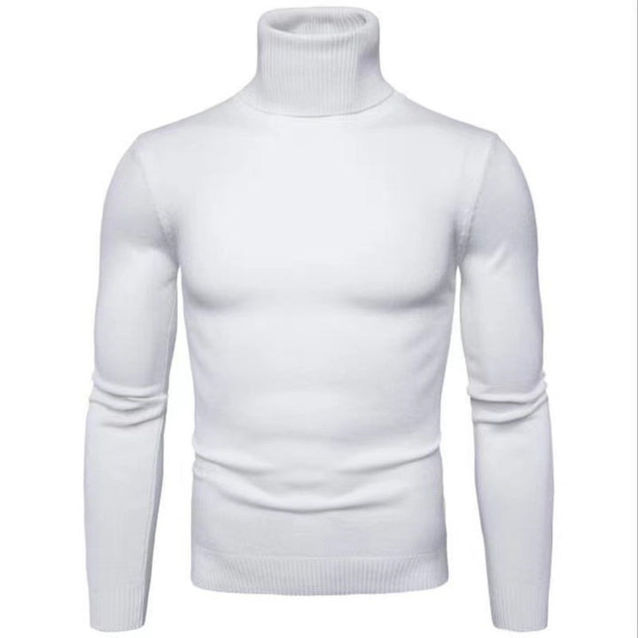 High-quality cotton turtleneck sweater for men Lune London
