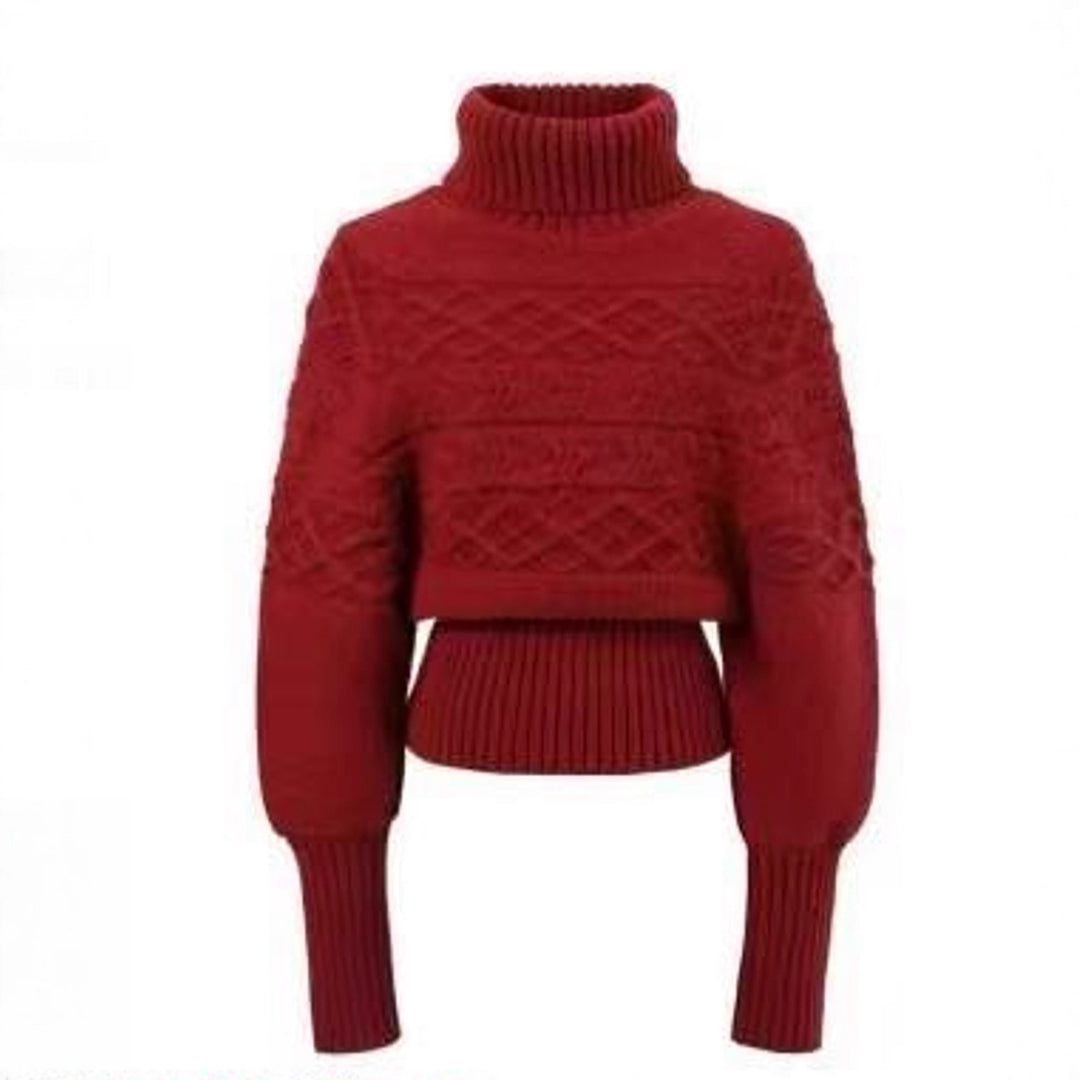 Pull en tricot pour femmes avec coupe oversized et col roulé Chic & Stil