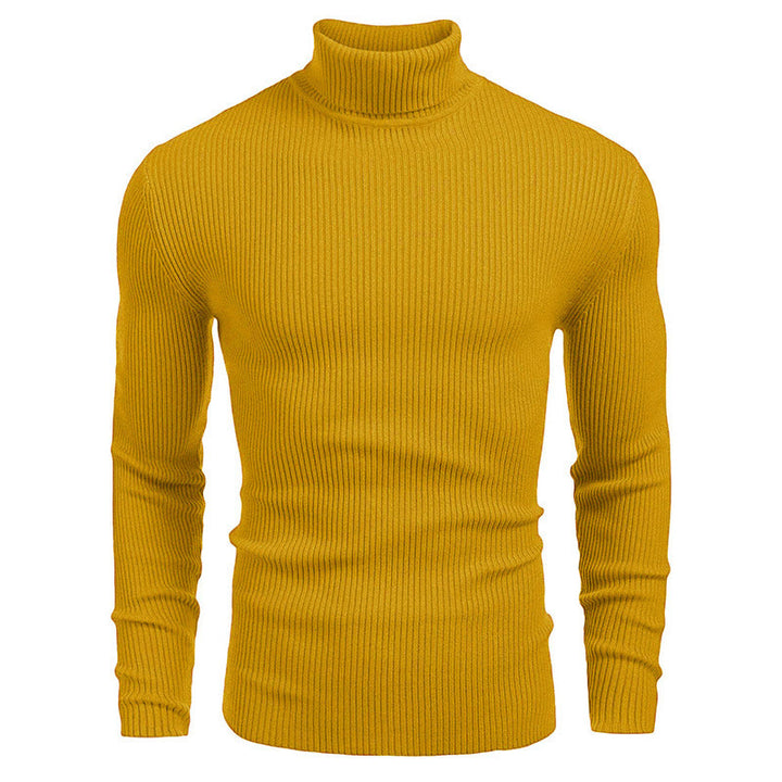 Elegant ribbed turtleneck sweater for men Lune London