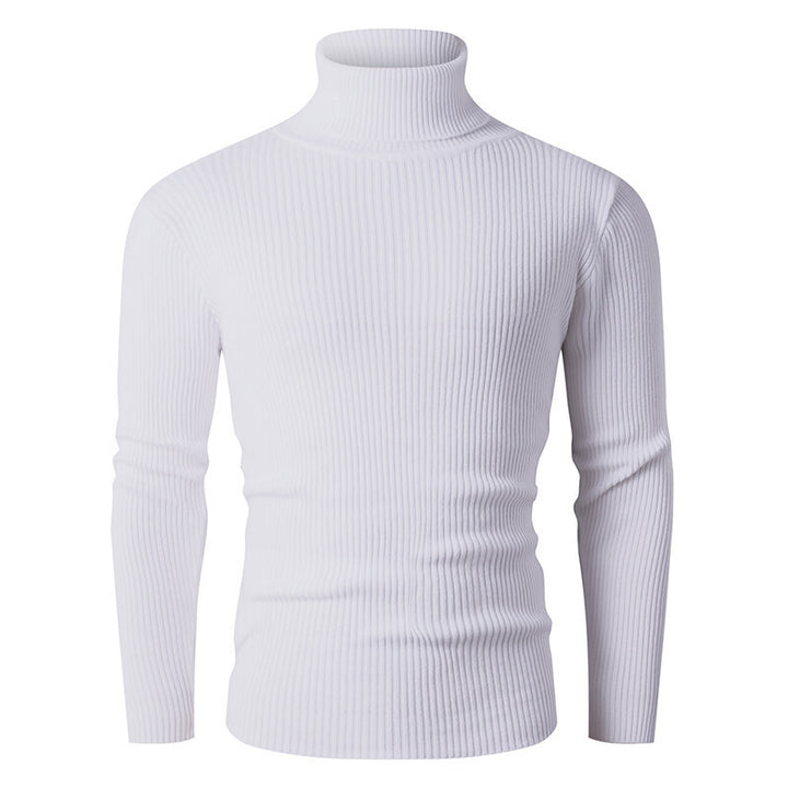 Elegant turtleneck sweater for men in structured knitted material Lune London