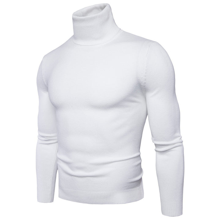 Men's roll neck sweater in fine merino wool Lune London