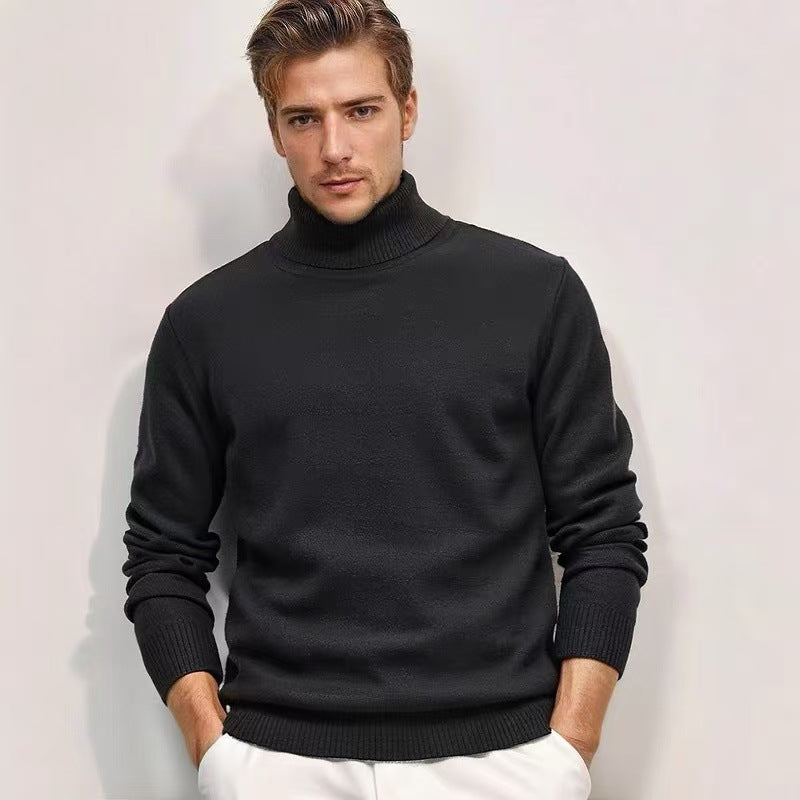 Pullover with roll neck for men in fine knit Lune London