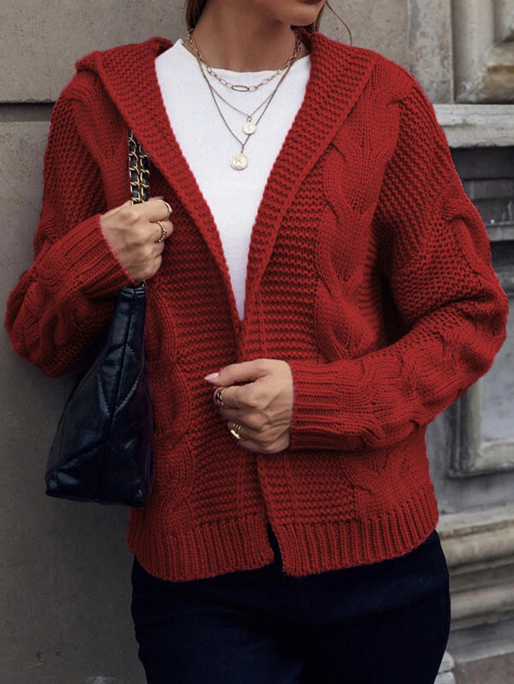 Cardigan tricot épais pour femmes avec capuche et motif de câble texturé Chic & Stil