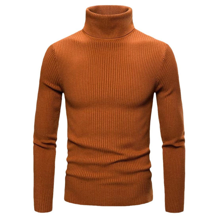 Trendy turtleneck sweater for men with a fine ribbed structure Lune London