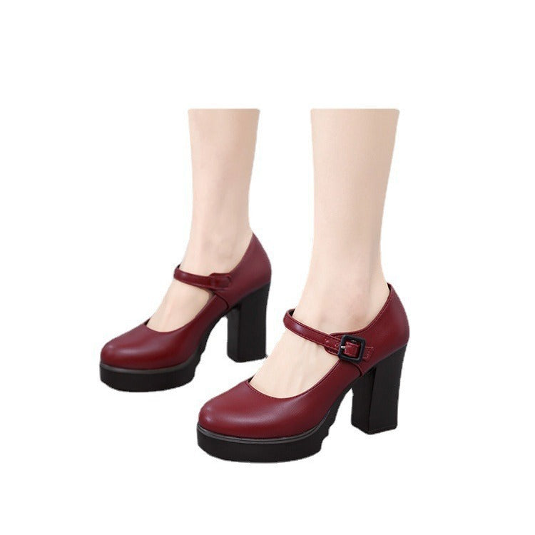 Women's Elegant Mary Jane Pumps with Decorative Strap and Comfortable Block Heel Lune London