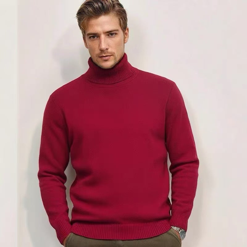 Pullover with roll neck for men in fine knit Lune London