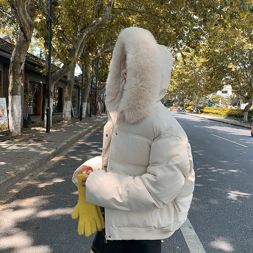 Ladies Fashionable and Warm Clothing, padded jacket with luxurious faux fur collar Lune London