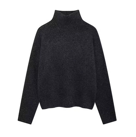 Pull à col roulé pour femmes en tricot doux Chic & Stil