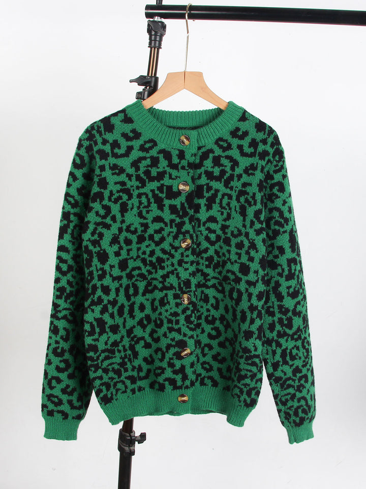 Women’s Casual Animal Prints Sweater Chic & Stil