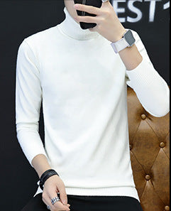 Men Elegant Turtleneck Sweater in Fine Knit Lune London