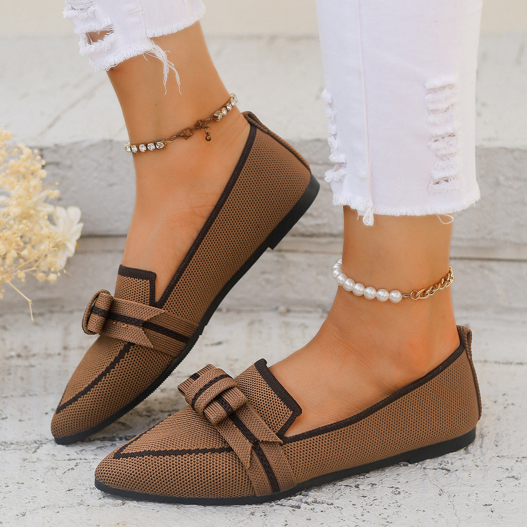 Ladies Elegant Ballerinas Pointed Toe Chic and Style