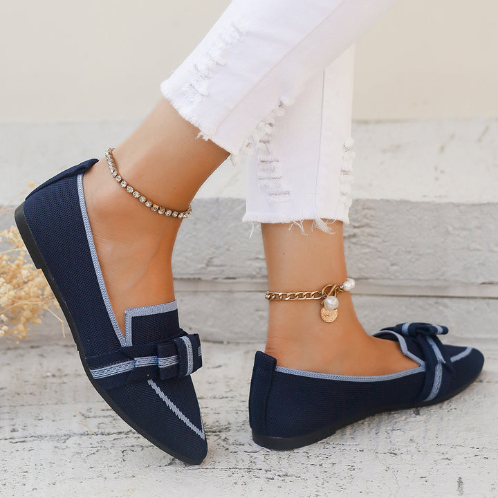 Ladies Elegant Ballerinas Pointed Toe Chic and Style