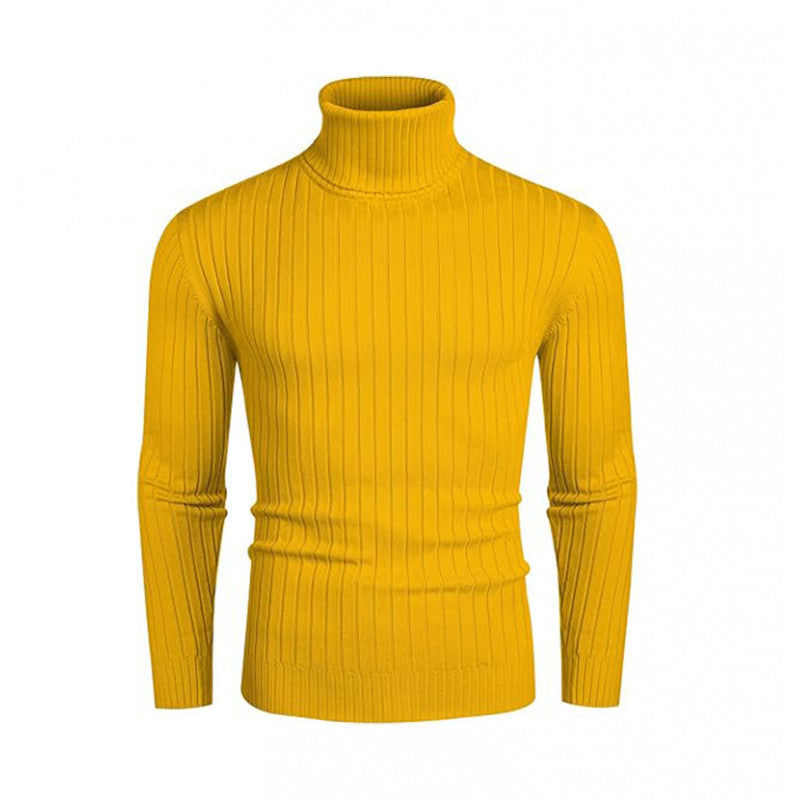 Elegant men's ribbed fine knit turtleneck sweater Lune London