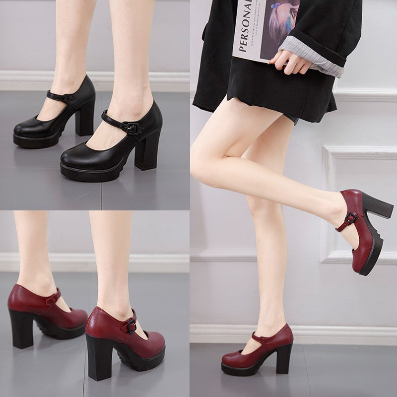 Women's Elegant Mary Jane Pumps with Decorative Strap and Comfortable Block Heel Lune London