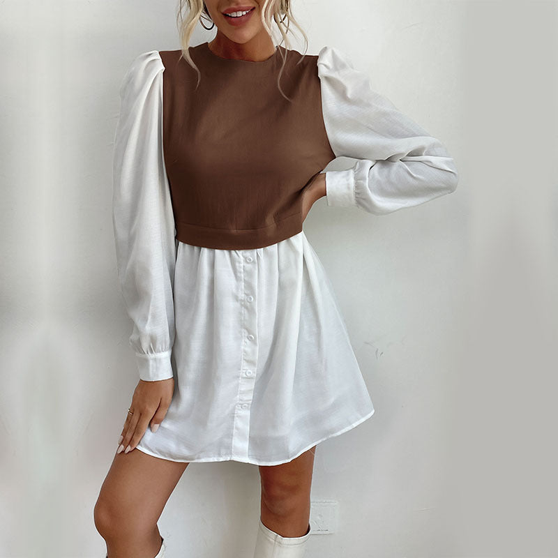 Chic and stylish shaded dress for women