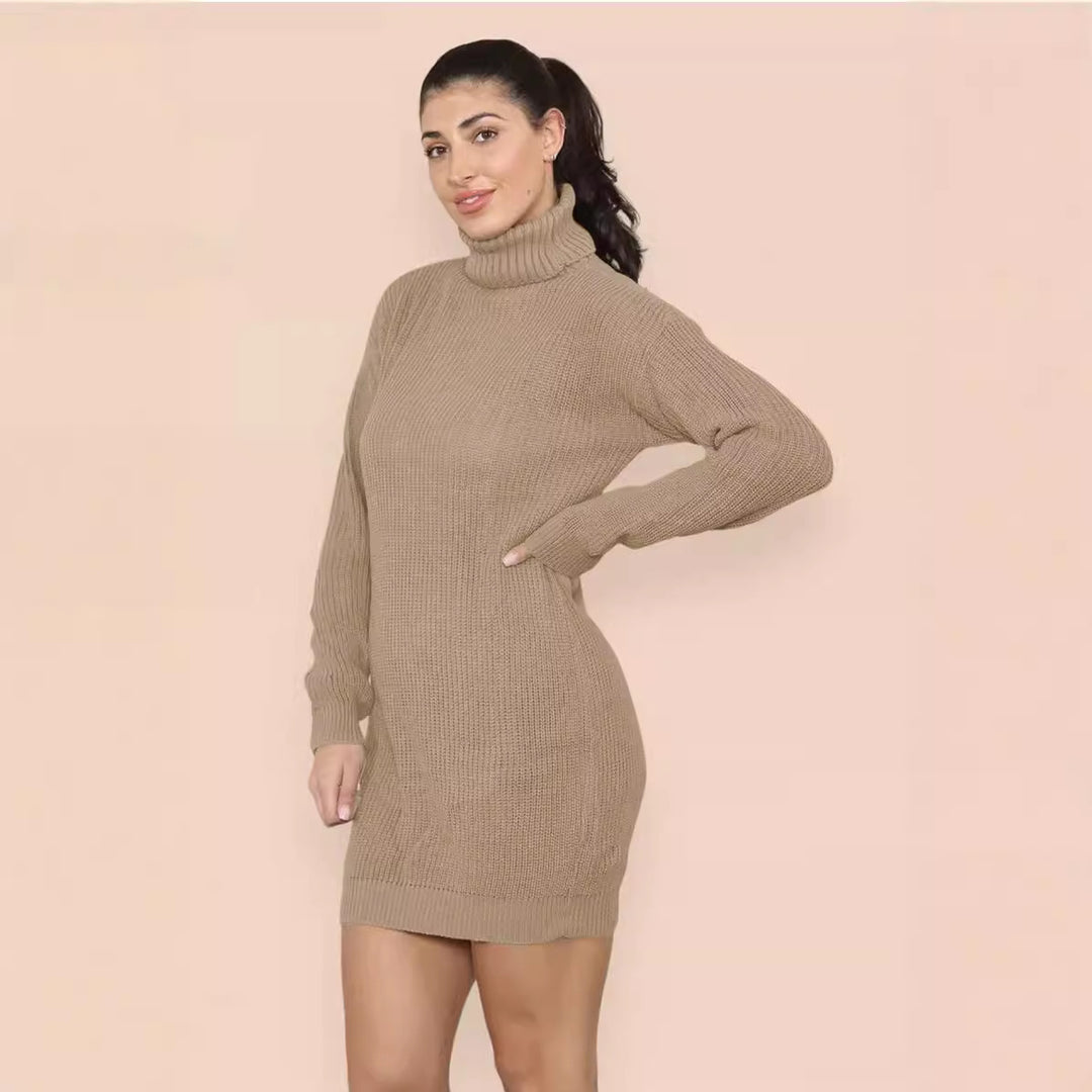 Robe en tricot pour femmes avec col roulé haut et coupe décontractée Chic & Stil