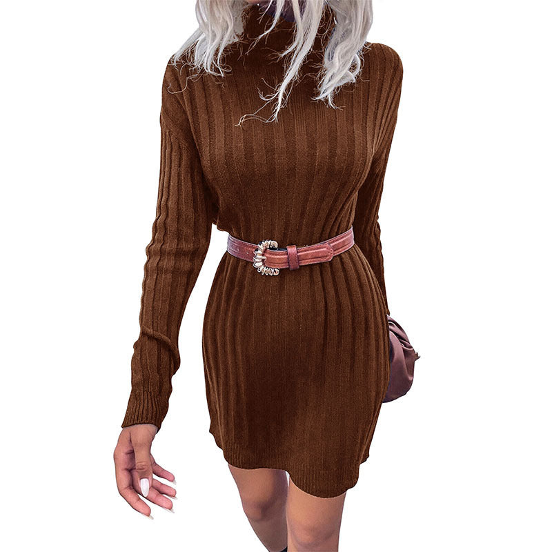 Robe en tricot surdimensionnée pour femmes avec col haut et design vertical fin Chic & Stil