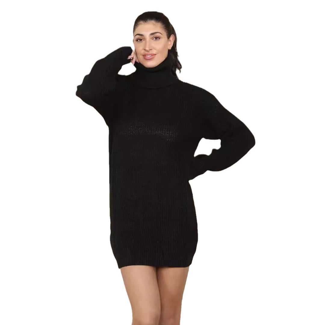 Robe en tricot pour femmes avec col roulé haut et coupe décontractée Chic & Stil
