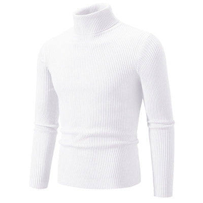 Men's ribbed turtleneck sweater in premium quality Lune London