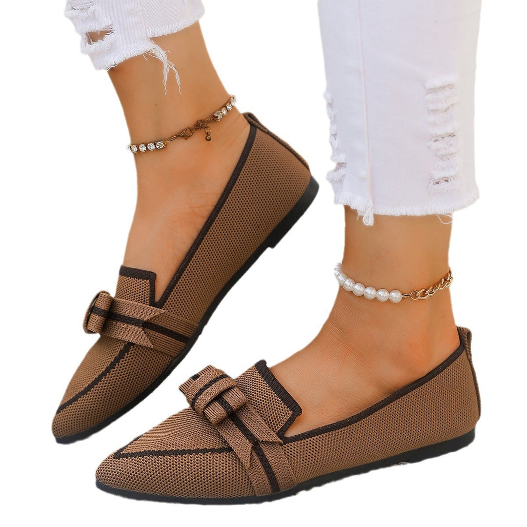 Ladies Elegant Ballerinas Pointed Toe Chic and Style