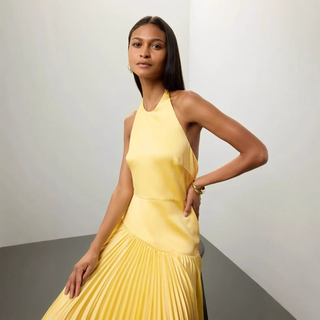 Ladies Elegant Maxi Dress with Flowing Pleated Skirt and Halter Neck Design