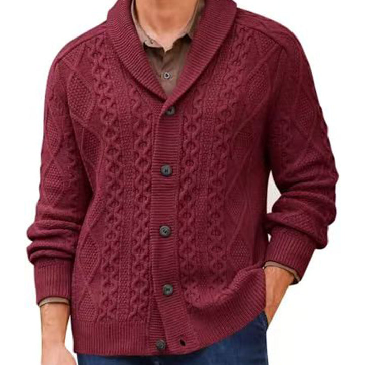 Men's knitted jacket with a clear braid pattern and a modern high collar Lune London