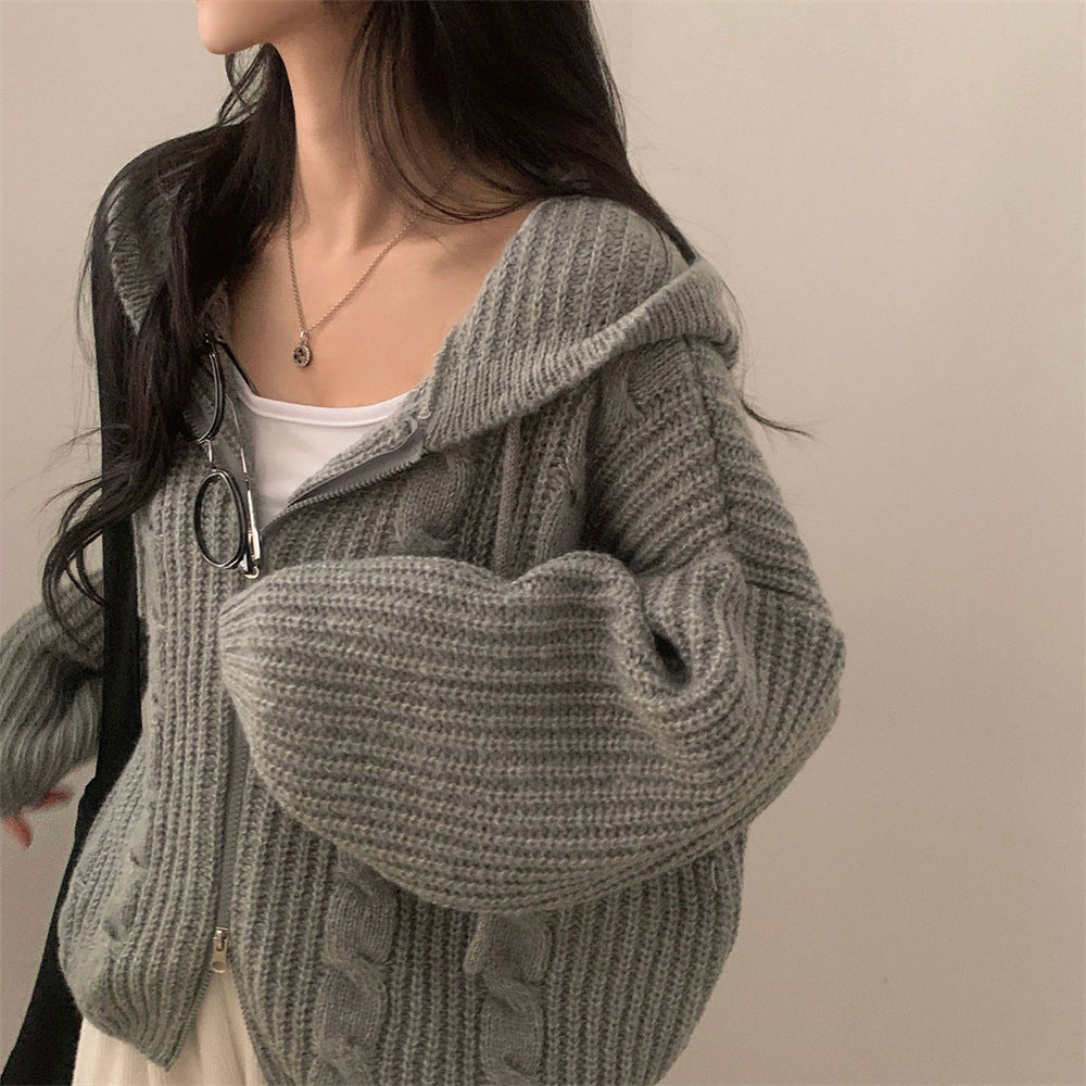 Cardigan en tricot épais pour femme avec capuche et coupe décontractée Chic & Stil