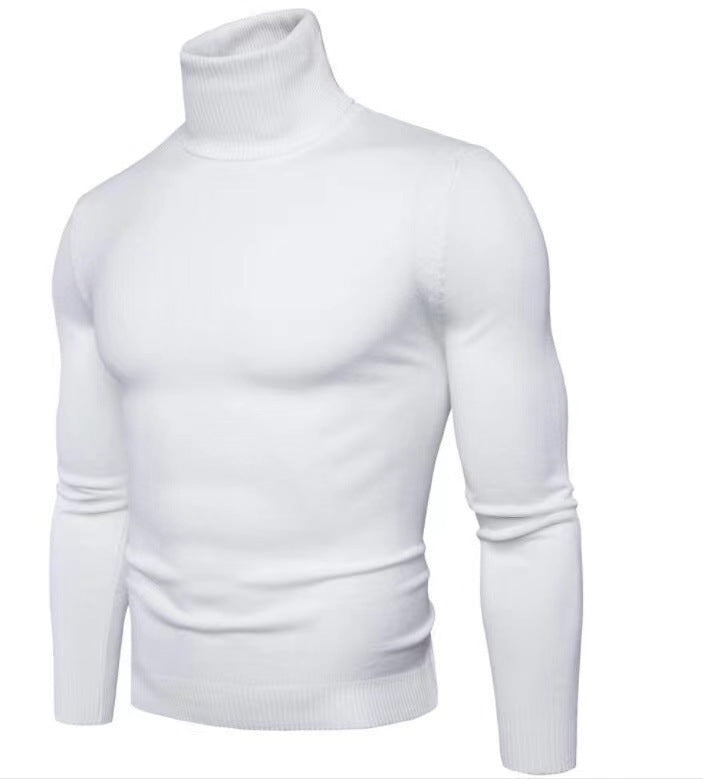 Elegant turtleneck pullover for men in fine merino wool Lune London