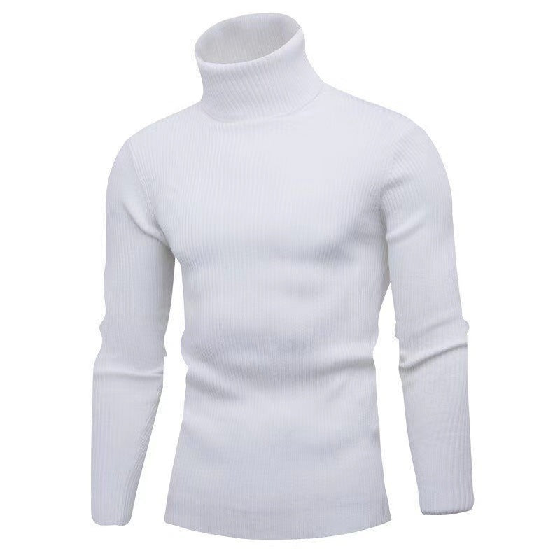Trendy turtleneck sweater for men with a fine ribbed structure Lune London