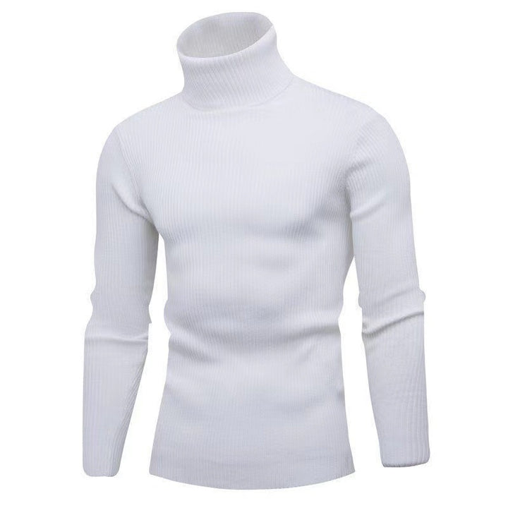 Trendy turtleneck sweater for men with a fine ribbed structure Lune London