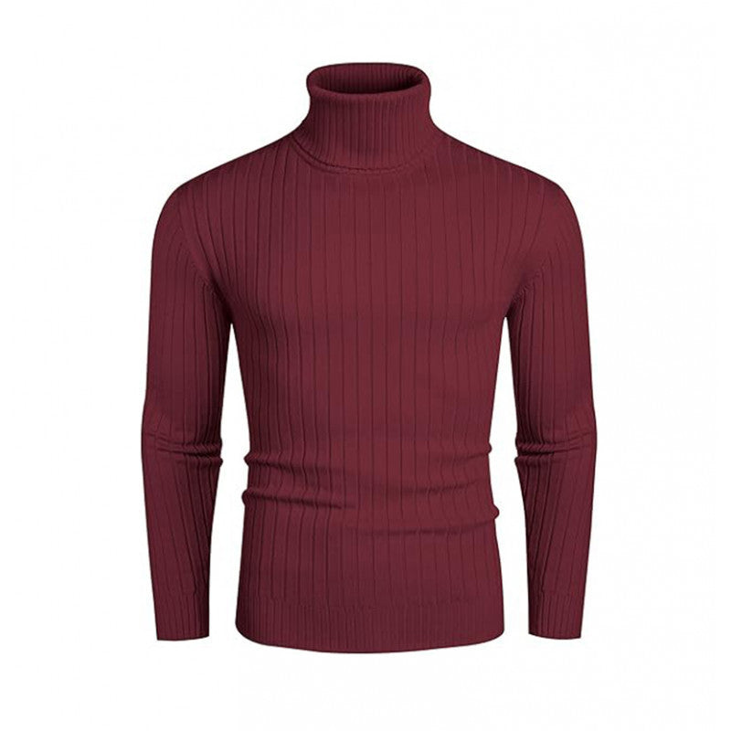 Elegant men's ribbed fine knit turtleneck sweater Lune London
