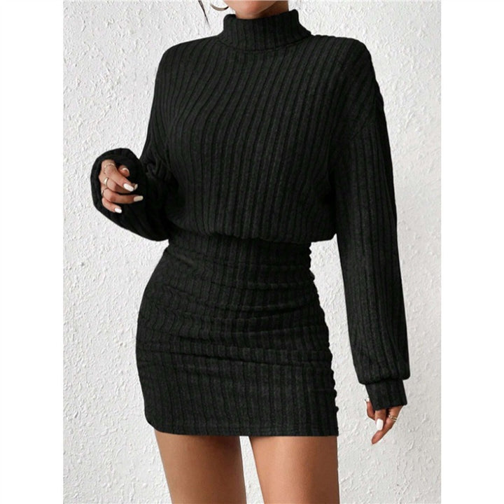 Robe en tricot pour femmes avec col roulé et manches Cut-In Chic & Stil