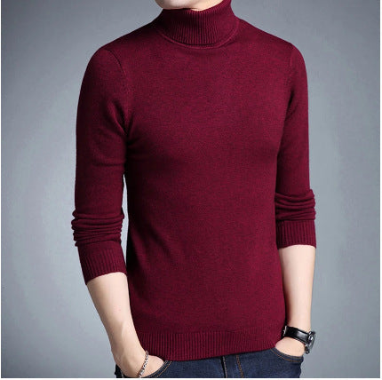 High-quality wool turtleneck sweater for men Lune London