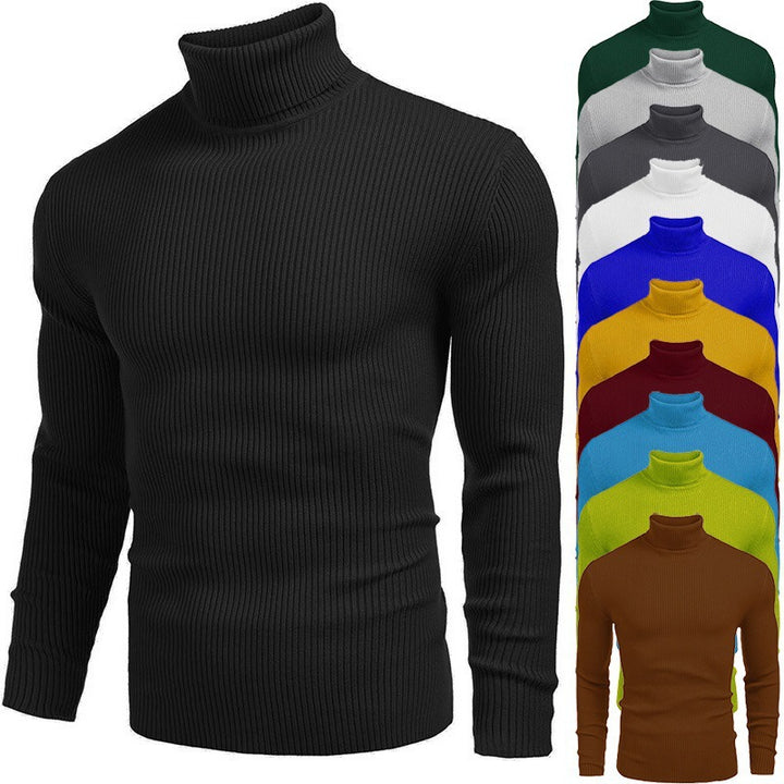 Elegant ribbed turtleneck sweater for men Lune London
