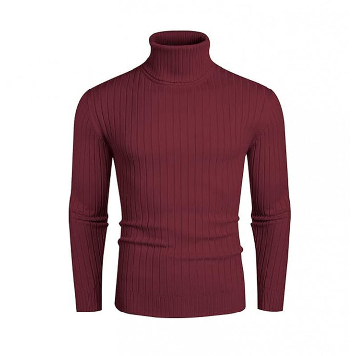 Elegant men's ribbed fine knit turtleneck sweater Lune London